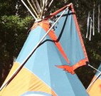 Central Coast Eco Tours - Holiday Cairns