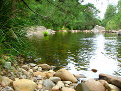Riverwood Downs Mountain Valley Resort - Holiday Cairns 7