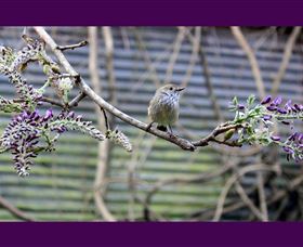 MossGrove Bed And Breakfast - Holiday Cairns 2