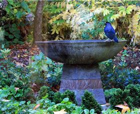 MossGrove Bed And Breakfast - Holiday Cairns 4