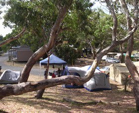 Bimbi Park Camping Under Koalas - Holiday Cairns 1