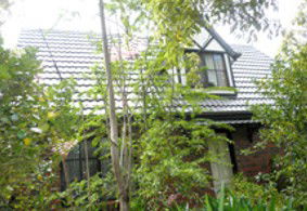 Wirilda And Cottage - Holiday Cairns 5