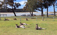 Lake Conjola Entrance Holiday Park - Holiday Cairns 2