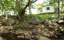 Mt Warning Rainforest Park - Holiday Cairns 0