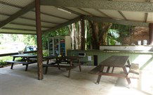 Mt Warning Rainforest Park - Holiday Cairns 4