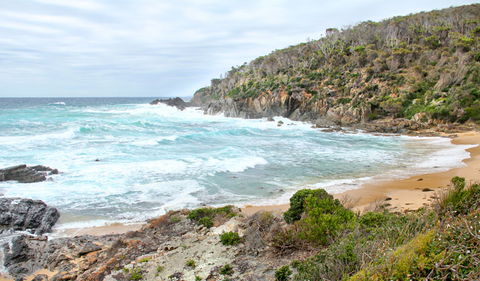 Picnic Point Campground - Holiday Cairns 1