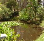 Tallowood Ridge B and B - Holiday Cairns