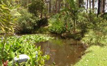 Tallowood Ridge B And B - Holiday Cairns 0
