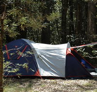 Thungutti campground - Holiday Cairns