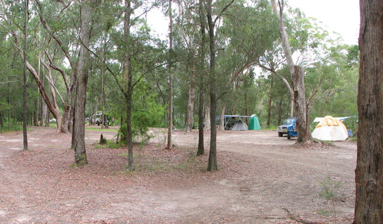 Shallow Bay NSW Holiday Cairns