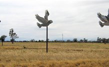Gulargambone NSW Holiday Cairns