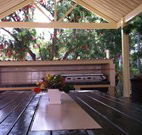Mollymook Paradise Haven Apartment Motel - Mollymook - Holiday Cairns