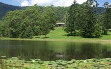 The Bushranger Hideaway - Holiday Cairns 4