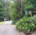 Tamborine Mountain Caravan  Camping - Holiday Cairns