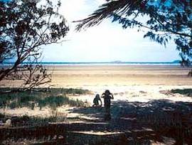 Travellers Rest Caravan & Camping Park - Holiday Cairns 0