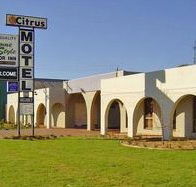 Citrus Motel - Holiday Cairns