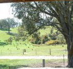 Hosanna Farm Retreat - Holiday Cairns