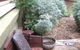 Rosnay Farmstay - thumb 0