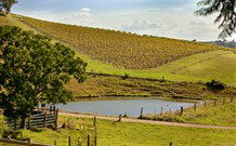 Sanctuary Hill Retreat - Holiday Cairns 0