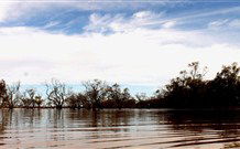 Stony Creek Farm B And B - Holiday Cairns 5