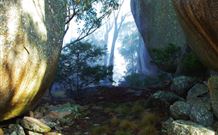 Anketell Forest Cottages - Holiday Cairns 4