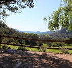 Cedar Grove - - Holiday Cairns