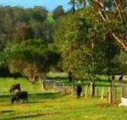 Giba Gunyah Country Cottages - Holiday Cairns