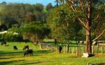 Giba Gunyah Country Cottages - Holiday Cairns 0