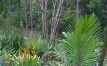 Old Convent River Retreat - Holiday Cairns 1