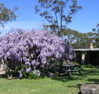 Studio Cottages - Holiday Cairns