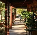 The Vineyard Motel - Holiday Cairns