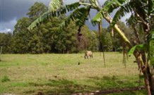 Moorland NSW Holiday Cairns