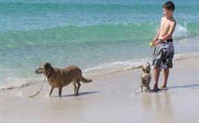 A Paradise Bungalow Waterfront - Holiday Cairns 0