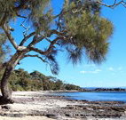 David Jones Cottage - Holiday Cairns