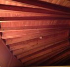 Sea Cottage - Holiday Cairns