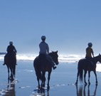 The Hayloft - Holiday Cairns