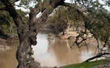 Valley View Cottage Hunter Valley - Holiday Cairns 0