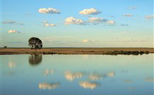 Valley View Cottage Hunter Valley - Holiday Cairns 4