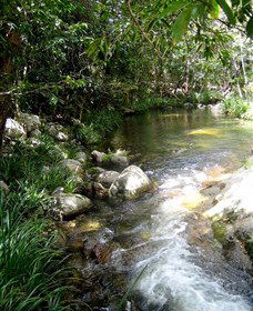 Sweetwater Lodge - Holiday Cairns 3