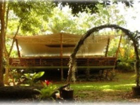 Cedar Park Rainforest Resort - Holiday Cairns 2
