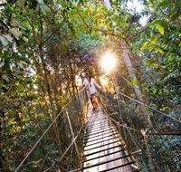 O'Reilly's Rainforest Retreat - Holiday Cairns