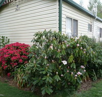 Jenolan Caravan Park - Holiday Cairns