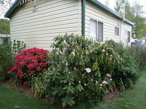 Jenolan Caravan Park - Holiday Cairns 1
