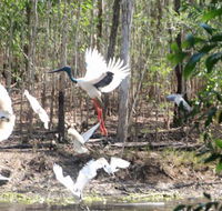 Rakhi Retreat - Holiday Cairns