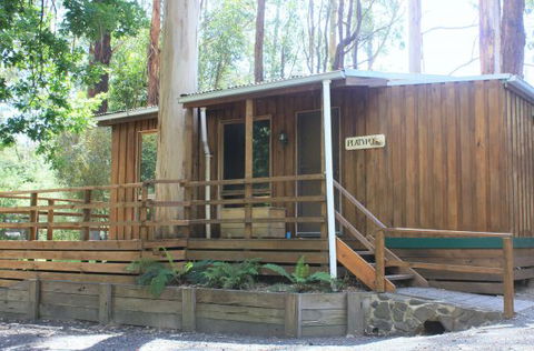 Tarra Valley Caravan Park - Holiday Cairns 1