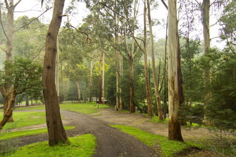 Tarra Valley Caravan Park - Holiday Cairns 6
