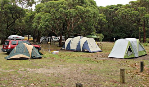 Pretty Beach Campground, Murramarang National Park - Holiday Cairns 0