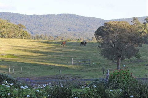 Wallaby Cottage - Holiday Cairns 1