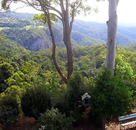Mt Tamborine Motel - Holiday Cairns