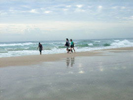 Alfies By The Sea - Holiday Cairns 0